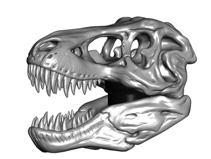 t-rex skull topper 7 cane walking hiking sticks toakamate 3d print model - Mito3D