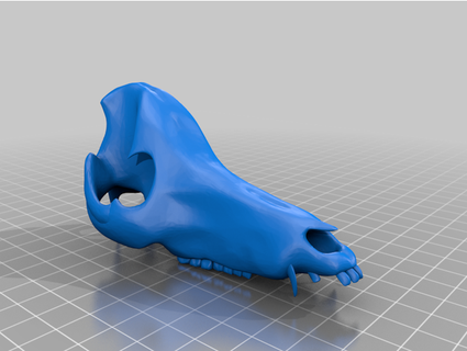 craneo Cerdo porc crâne artvalk 3d print model - Mito3D