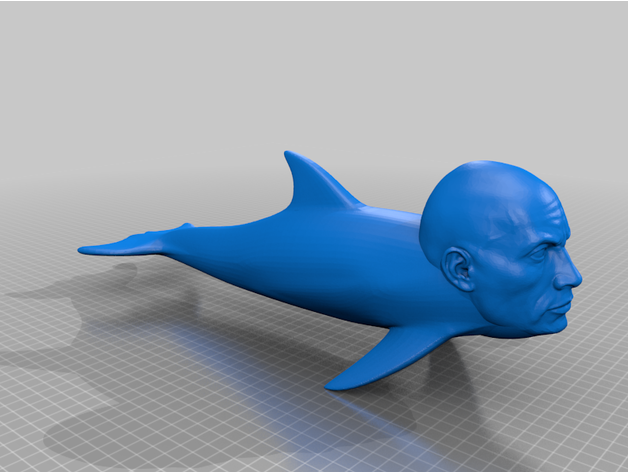 rock phin 5in 3D print model - Mito3D