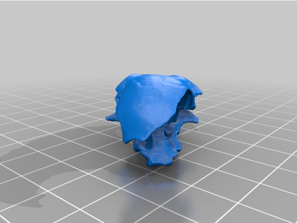 mouse skull generated revopoint pop 2 3d print model - Mito3D