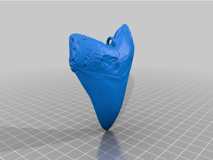 megalodon diente adornos arbol nhmw nhmwien 3d print model - Mito3D
