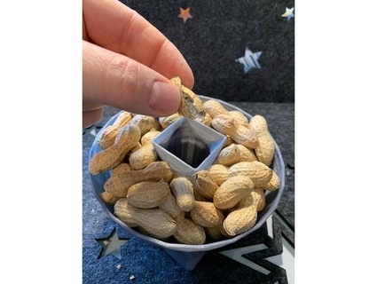 clever snack bowl box ++version iii++peanuts pistachio seeds locke one 3d print model - Mito3D