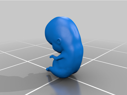 fetus guttergurl 3d print model - Mito3D