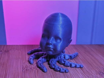 octobé 6d6178 3d print model - Mito3D