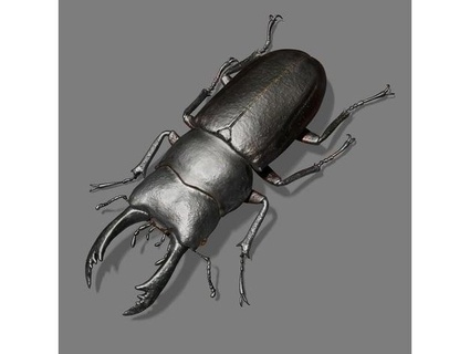 red legged ciervo escarabajo pcn3dprinting 3d print model - Mito3D