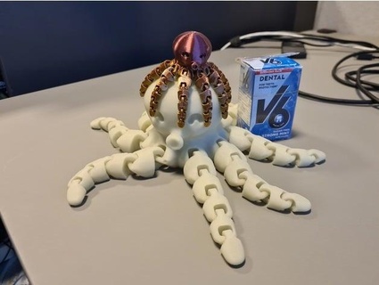 cute octopus spiral fixed mikevds 3d print model - Mito3D