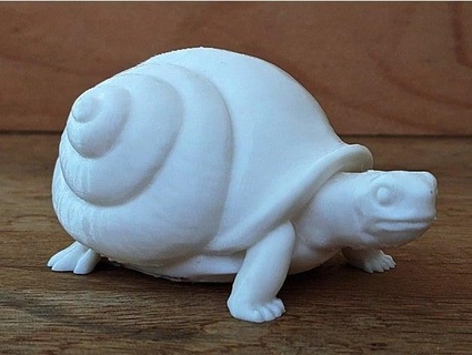 lumaca tartaruga 3dimka 3d print model - Mito3D