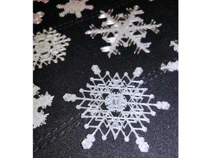 snowflakes Sammlung 2022 1 leobryn 3d print model - Mito3D