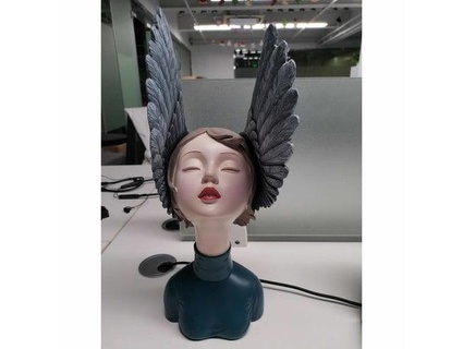 fille ailes généré revopoint pop 2 3d print model - Mito3D