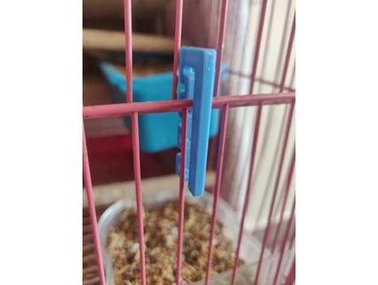 bird cage safety lock boogiebooger 3d print model - Mito3D