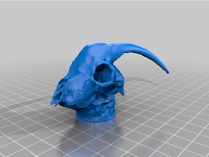 goat skull scanned ironstrike 3d print model - Mito3D