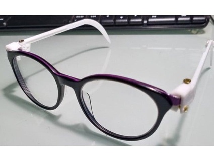spectacle eyeglass hinges legs anupamvarghese 3d print model - Mito3D