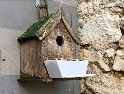 pássaro alimentador birhouse semente manjedoura sementes derramar cabanas Oiseaux urânio 92 3d print model - Mito3D