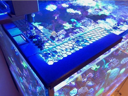 modulare pesce guardia telaio 10 12mm bicchiere blu 3d print model - Mito3D