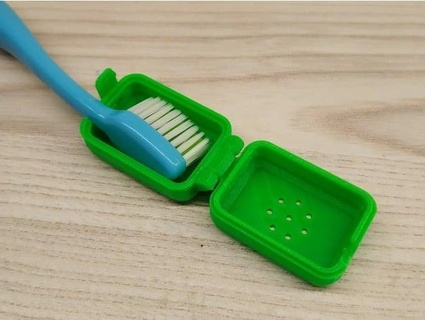 toothbrush case dmawzx 3d print model - Mito3D