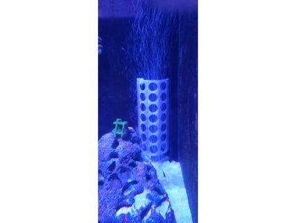aquarium heater guard derpfishstuff 3d print model - Mito3D