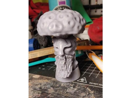 mushroom shaman bust mrcymstr 3d print model - Mito3D