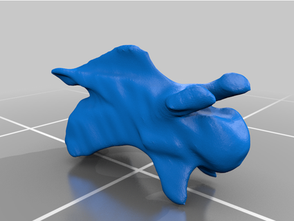giraffa vertebrato c8 c2 atlante flushgordon 3d print model - Mito3D