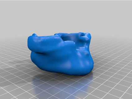 maxillary bone chawsity 3d print model - Mito3D