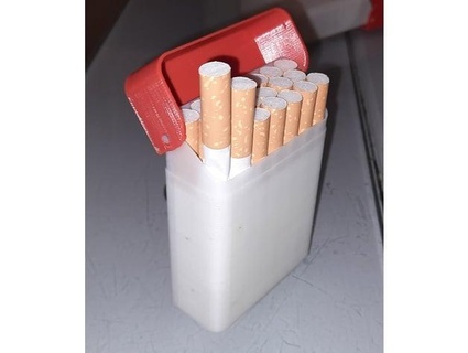 cigarette case vitru78 3d print model - Mito3D