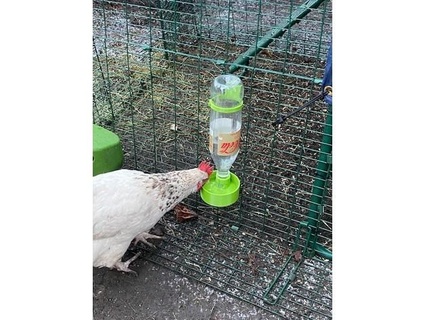 chicken water dispenser thread pet bottles bl4nk0 3d print model - Mito3D