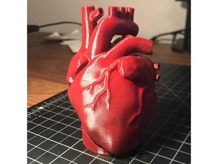 anatomical heart stand matthewgtaylor 3d print model - Mito3D