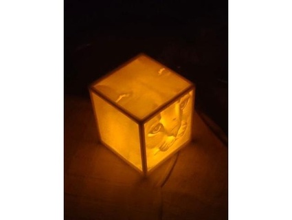 Floppa is cube - Download Free 3D model by Stepan (@just.steffan) [6a29892]