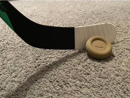 hockey puck flubby26 3d print model - Mito3D