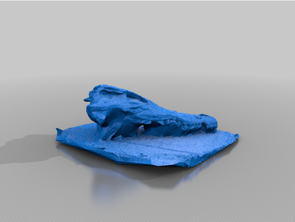 alligator skull manuel75pici 3d print model - Mito3D
