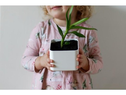 simple planter archroju 3d print model - Mito3D