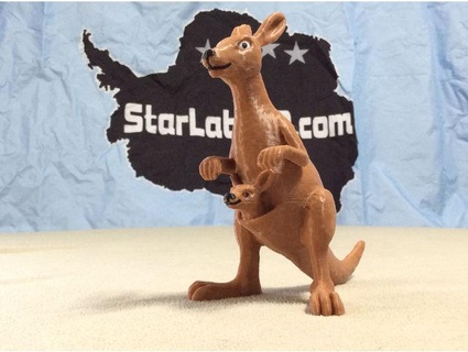 kangaroo starlabs3d 3d print model - Mito3D