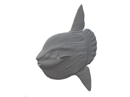 océan poisson lune mola 1 35 pc modèle Cour 3d print model - Mito3D