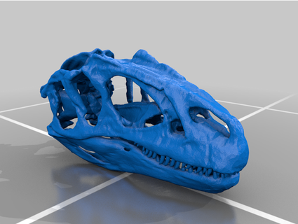 allosaurus cráneo dientes 3d print model - Mito3D