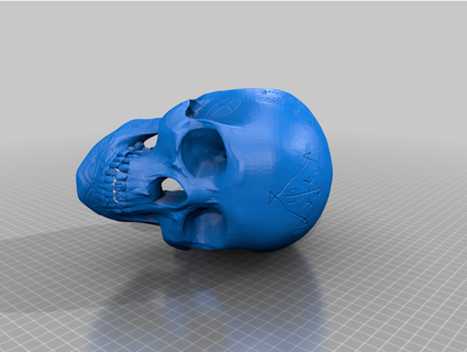 skull jmac13 3d print model - Mito3D