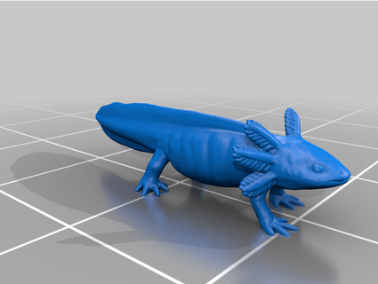 adolescente axolotl umbrafilo 3d print model - Mito3D