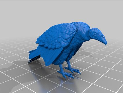 turkey vulture umbraphile 3d print model - Mito3D