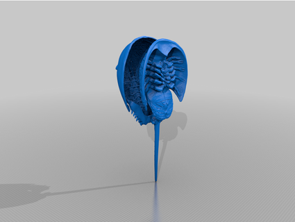 horseshoe crab matthewamey 3d print model - Mito3D