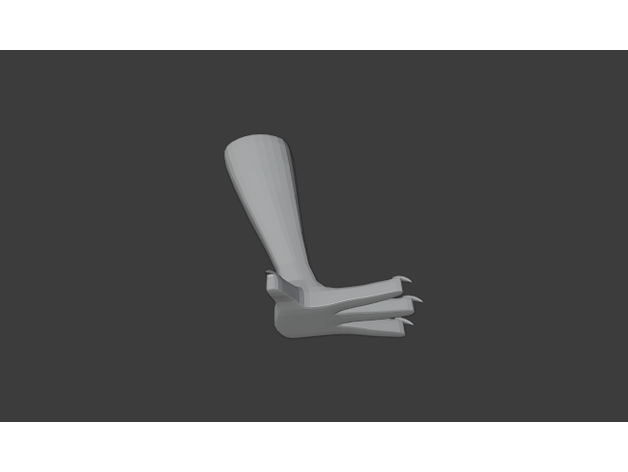 bird prosthesis mutum pauloalba 3D print model - Mito3D