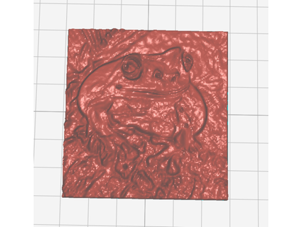 frog picture dluberdadj 3d print model - Mito3D