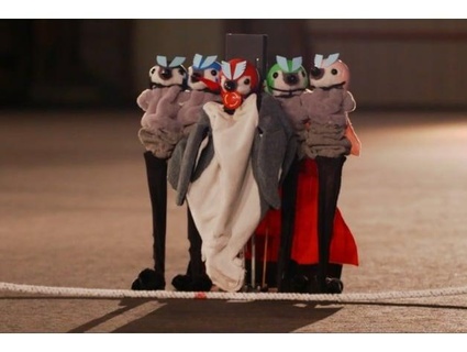 pingüino casco ji 3d print model - Mito3D
