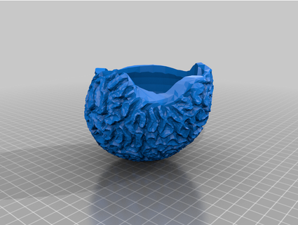 brain coral skeleton bowl planter plun 3d print model - Mito3D