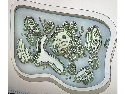 plant cell model school work jmcnulty7070 3d print model - Mito3D