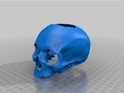betta skull cueva firewulf420 3d print model - Mito3D