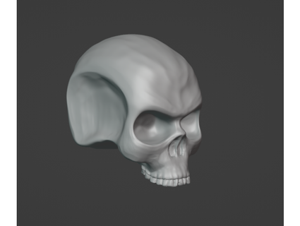 model skull without lower jaw ueba 3d print model - Mito3D