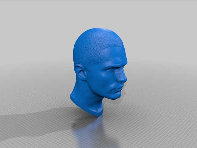 tête sam veuf brucéphale 3D print model - Mito3D