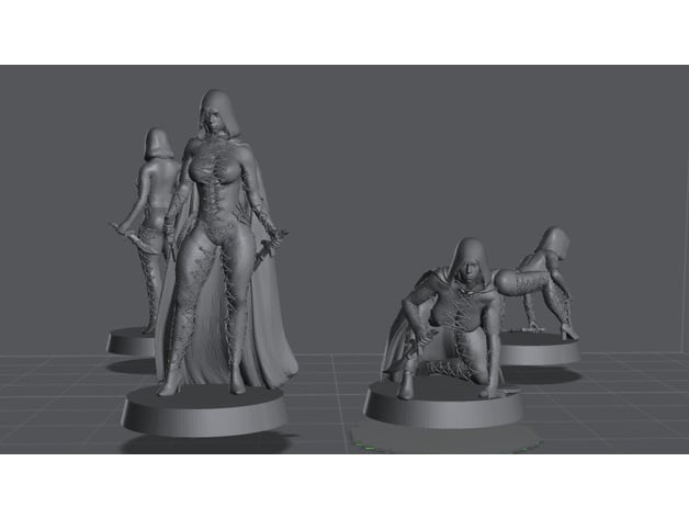 Attentäter pre supported minigiantgaming 3D print model - Mito3D