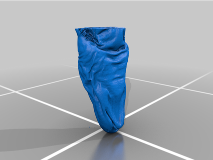 microct imagenes salamandras gigasciencia 3d print model - Mito3D
