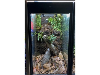 sully's 10 gallon aquarium vertical terrarium conversion kit foresthobbies 3d print model - Mito3D