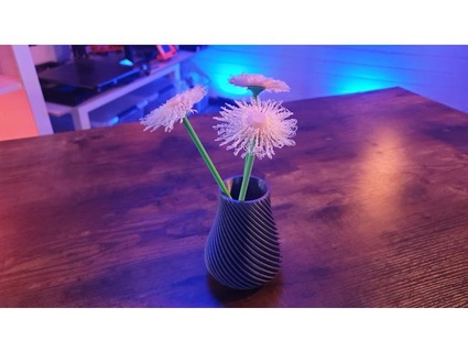 flower + steam valentins day mothers moveinz 3d print model - Mito3D