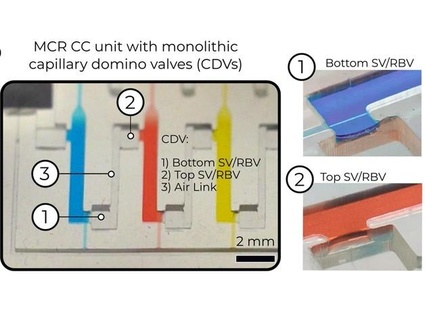 microfluidic chain reaction structurally programmed capillary flow events junckerlab 3d print model - Mito3D
